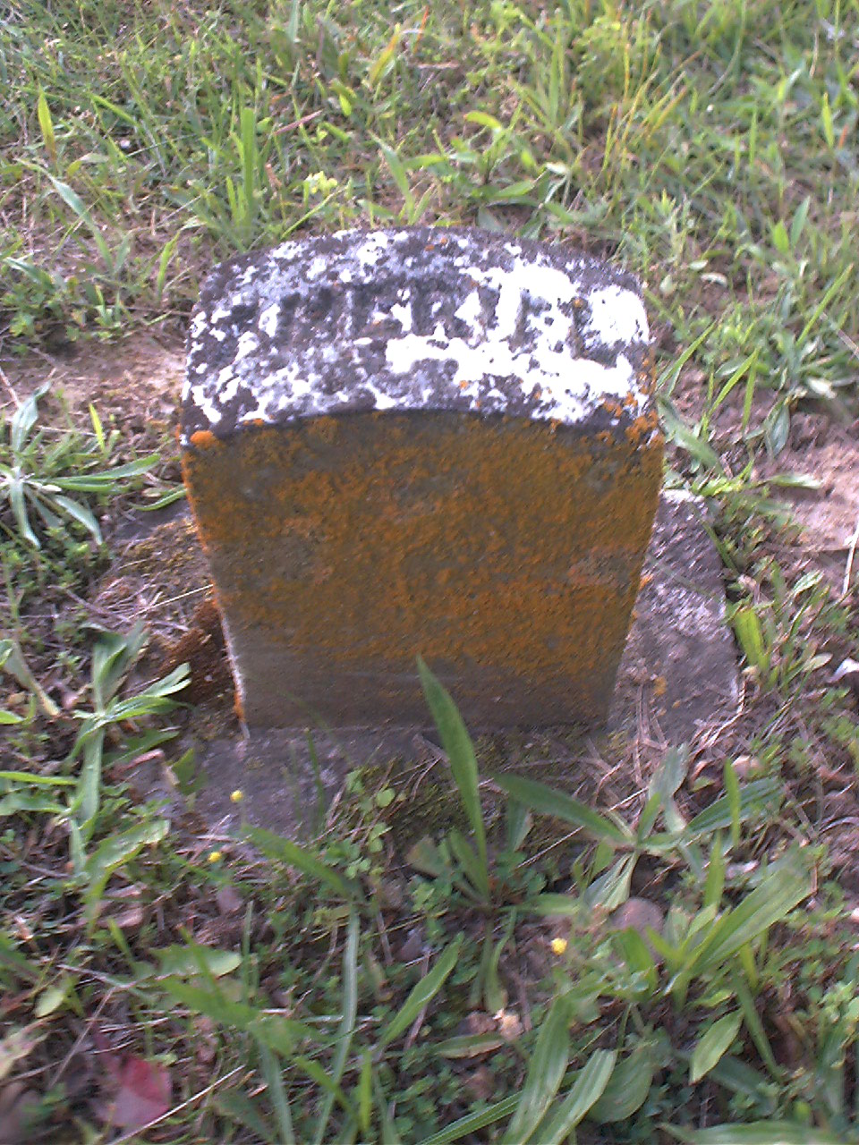 Amerial McNary footstone